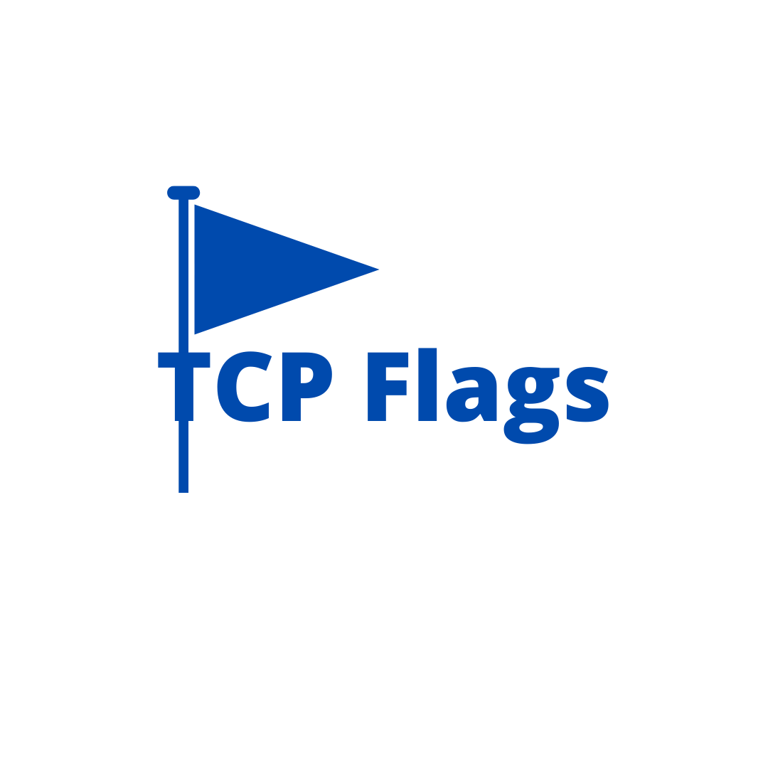 TCP Flag_Vivekananda IT Institute